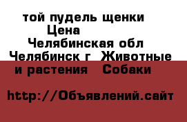 той пудель щенки  › Цена ­ 16 000 - Челябинская обл., Челябинск г. Животные и растения » Собаки   